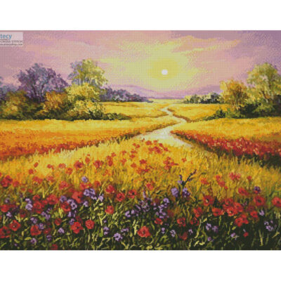 Fields of Gold (Anca Bulgaru)