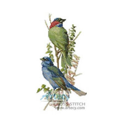 Finch and Blue Bird
