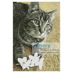 Flower Cat (L Cavendish)