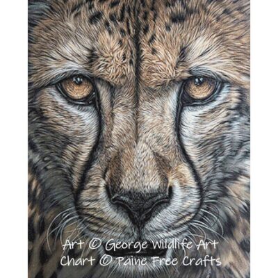 Predatory Intent (Cheetah)