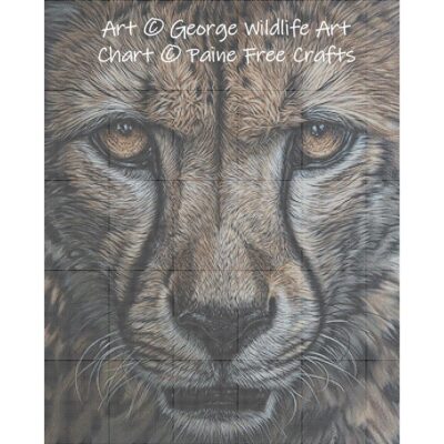 Predatory Intent (Cheetah) - Image 2