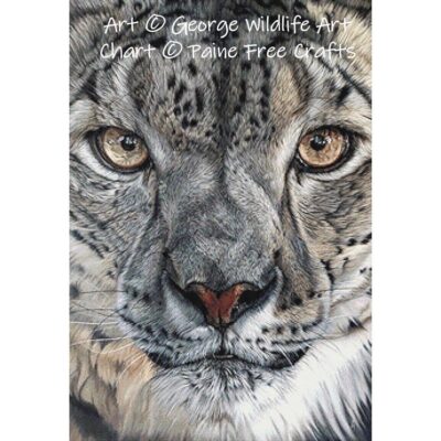 Snow Leopard