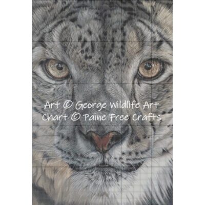 Snow Leopard - Image 2