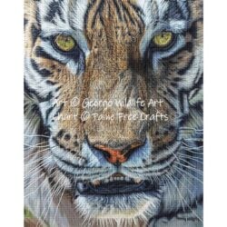 Shikari (Tiger)