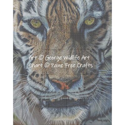 Shikari (Tiger) - Image 2