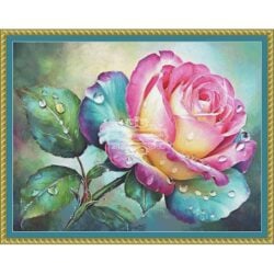 Colorful Rose (Simonetta Zambelli)
