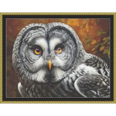 Great Gray Owl (Simonetta Zambelli)