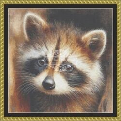 Raccoon in the Den (CROP) (Simonetta Zambelli)
