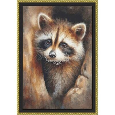 Raccoon in the Den (Simonetta Zambelli)