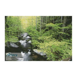 Forest Stream (www.liquidlibrary.com)
