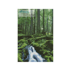 Forest Waterfall (www.photos.com)