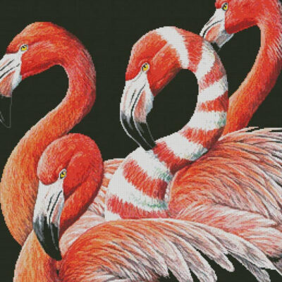 Four Flamingos (Cynthie Fisher)