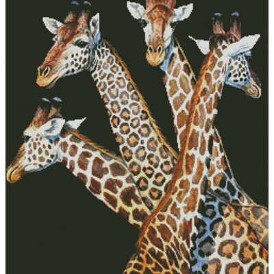 Four Giraffes (Cynthie Fisher)