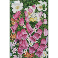 Foxgloves (Anne Mortimer)
