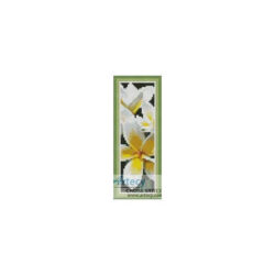 Frangipani Bookmark (Oz Photo)