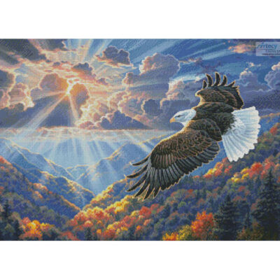 Freedom (Abraham Hunter)