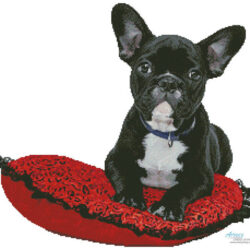French Bulldog (Ilona Krijgsman - Pixabay)