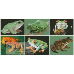 Frog Sampler (www.photos.com)