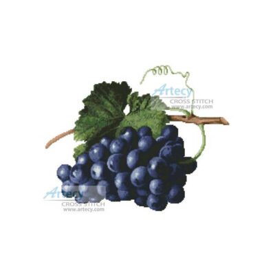 Fruit of the Vine