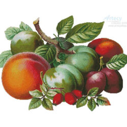Fruits 2 (Vintagerio)