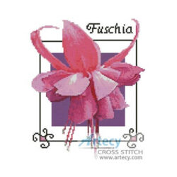 Fuschia 2