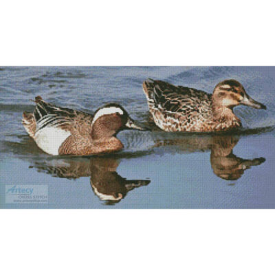 Garganey Ducks (Asfloro - Fotolia)