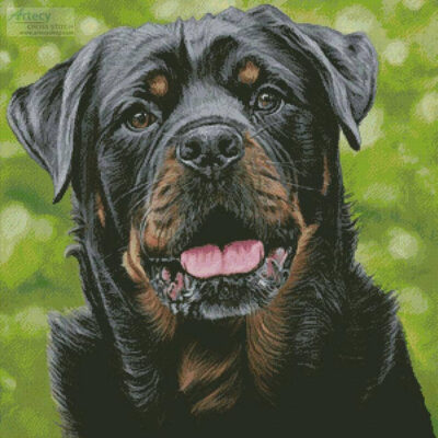 George (Lisa Ann Watkins)
