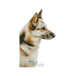 German Shepherd 2 (Taliesin www.morguefile.com)