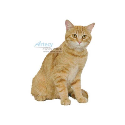 Ginger Cat (clipart)