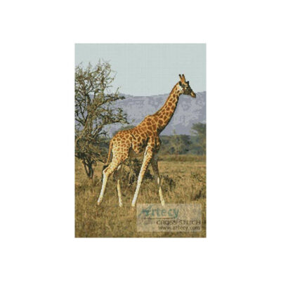 Giraffe 1 (www.photos.com)
