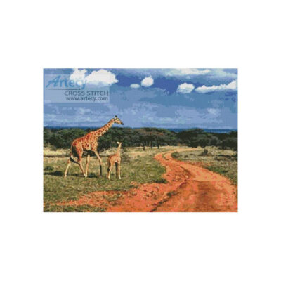 Giraffes 2