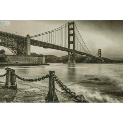 Golden Gate (Swapan Jha - Getty Images)
