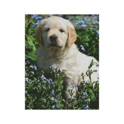 Golden Retriever Forget me not (Luke Gerken/Image Broker - Corbis)