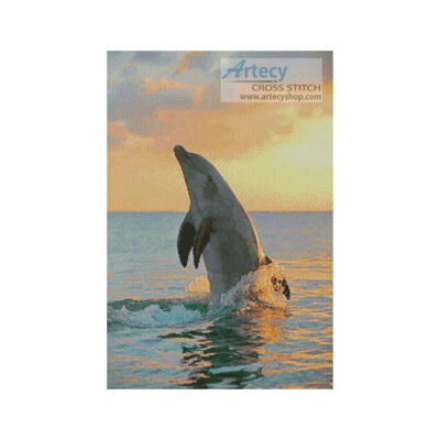 Golden Sunset Dolphin (Radius Images - Corbis)
