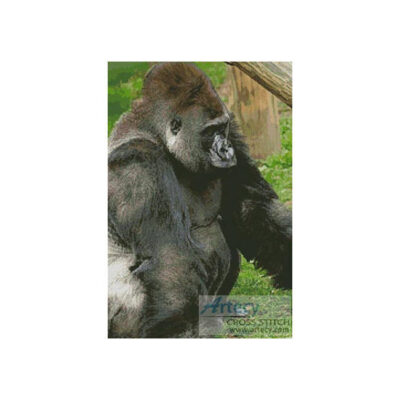 Gorilla 2 (www.photostogo.com)
