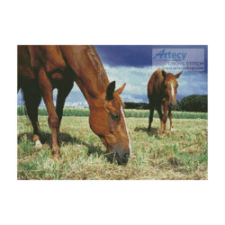 Grazing (Photos to Go)