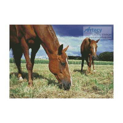 Grazing (Photos to Go)