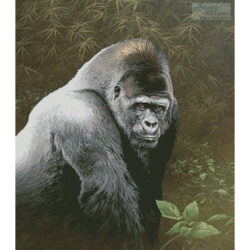 Great Ape (Fuz Caforio)