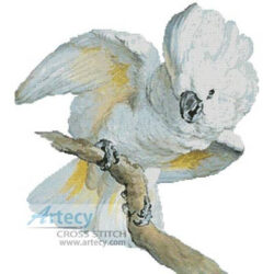 Great White Crested Cockatoo (Aert Schouman)