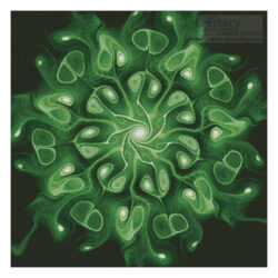 Green Abstract Flower (Jennifer Olschefski)