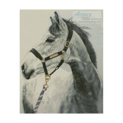 Grey Horse (Helen Chugg)
