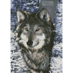Grey Wolf (DLILLC - Corbis)