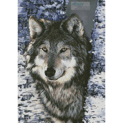 Grey Wolf (DLILLC - Corbis)