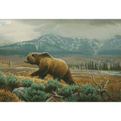 Grizzly (Jerry Gadamus)
