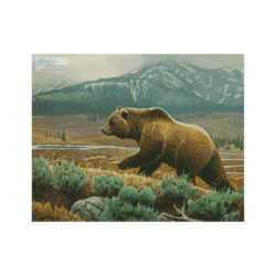 Grizzly (Crop) (Jerry Gadamus)