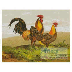 Golden Pencilled Hamburgh Chickens (Fine Rare Prints)