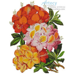 Hardy Azaleas (Fine Rare Prints)