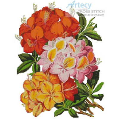 Hardy Azaleas (Fine Rare Prints)
