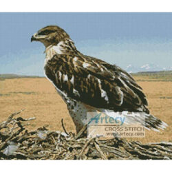 Hawk