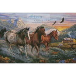 High Country Run (Cory Carlson)